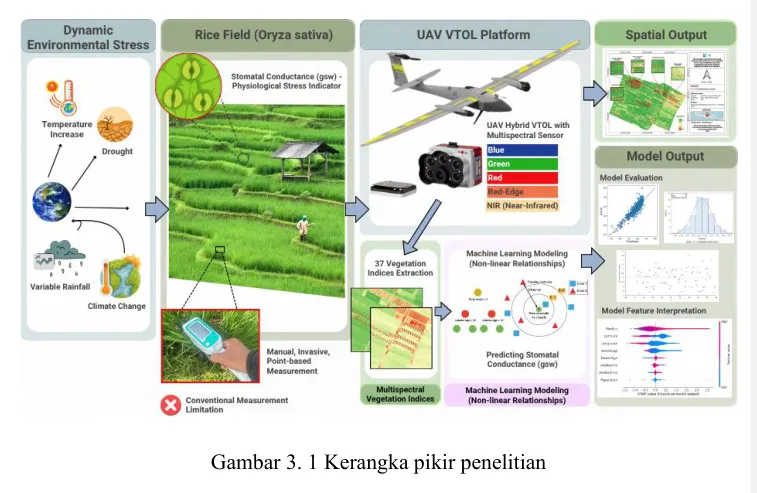 Research framework: Machine learning model of rice stomatal conductance across growth stages from multispectral VTOL imagery