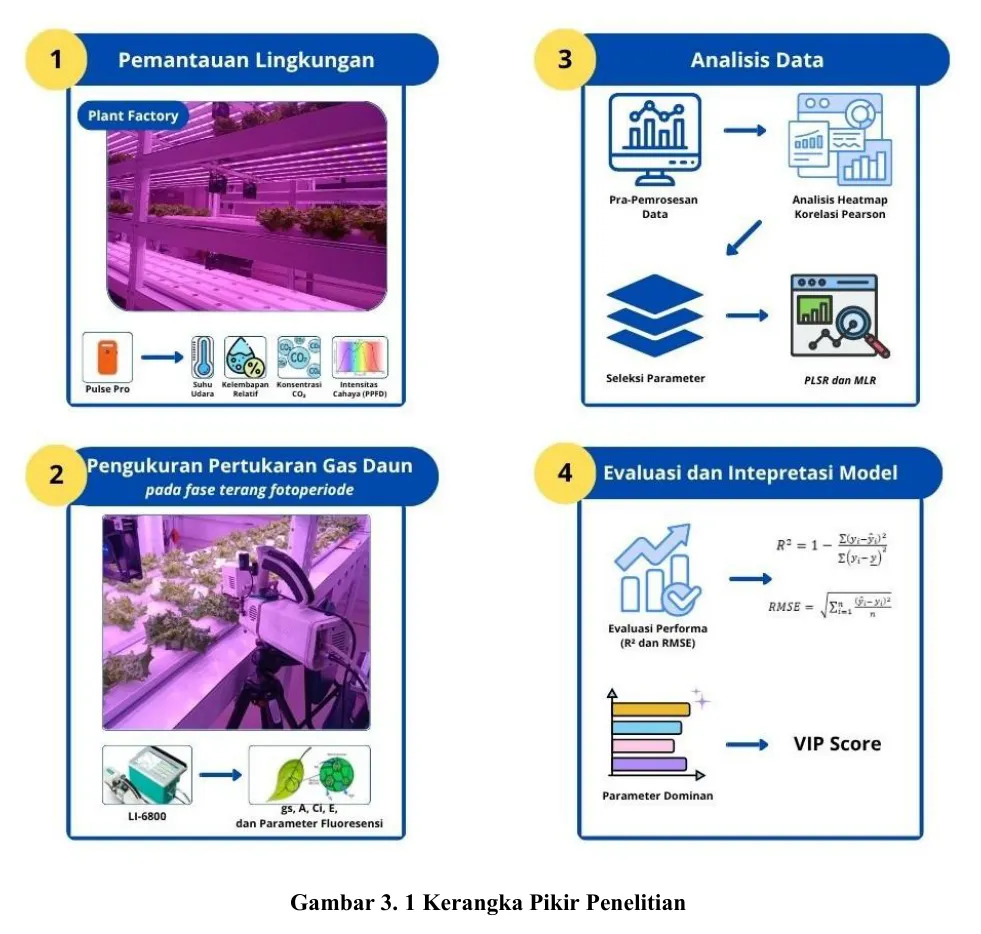 Research framework: Stomatal conductance dynamics of lettuce during the light period in a plant factory